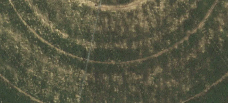 11215 Hwy 207
