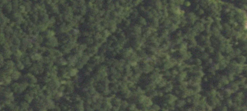 2181 2181