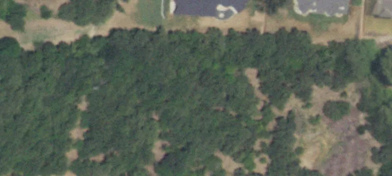 388 Arbor Cv Ln