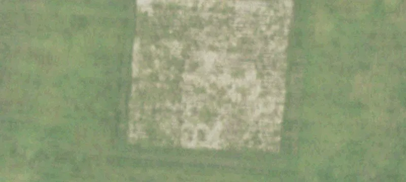 Dayton, TX 77535