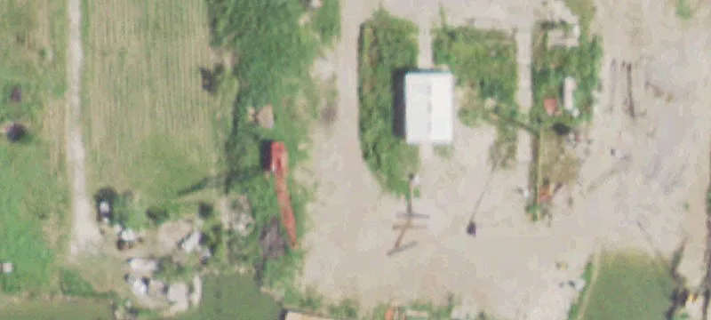 Eagle