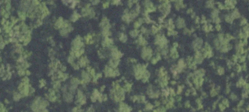 New Caney, TX 77357