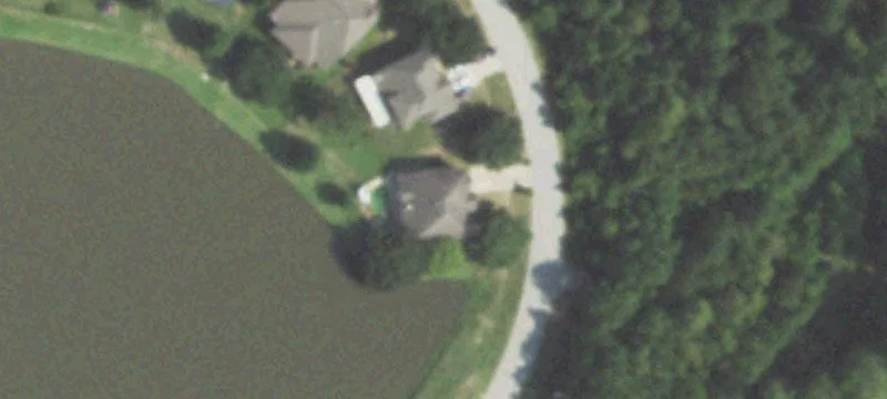 Magnolia, TX 77354