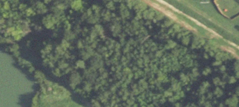 2237 Riley Fuzzel Rd