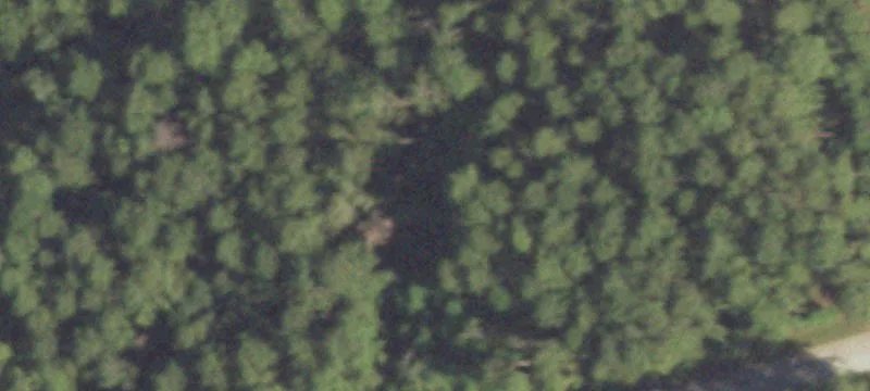 Conroe, TX 77304