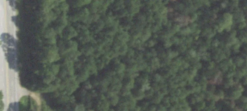 Magnolia, TX 77354