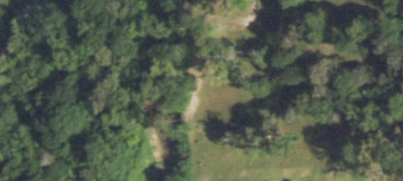 3003 Honea Egypt Rd