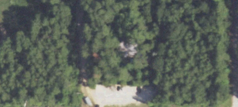 12202 Fm 1488th Rd