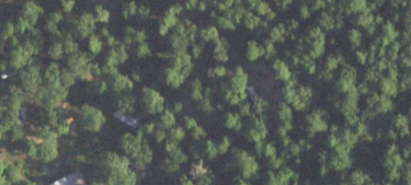 7901 Timber Switch Rd