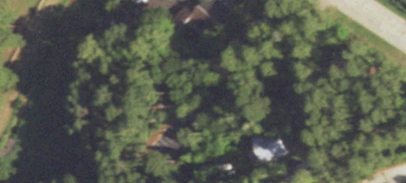 1003 Longmire Rd