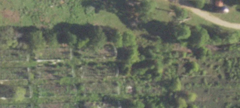 16821 Fm 1097th Rd