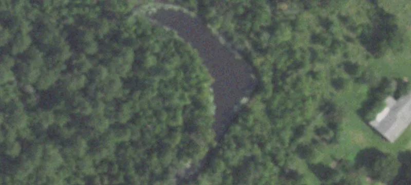 2831 Goodson Loop