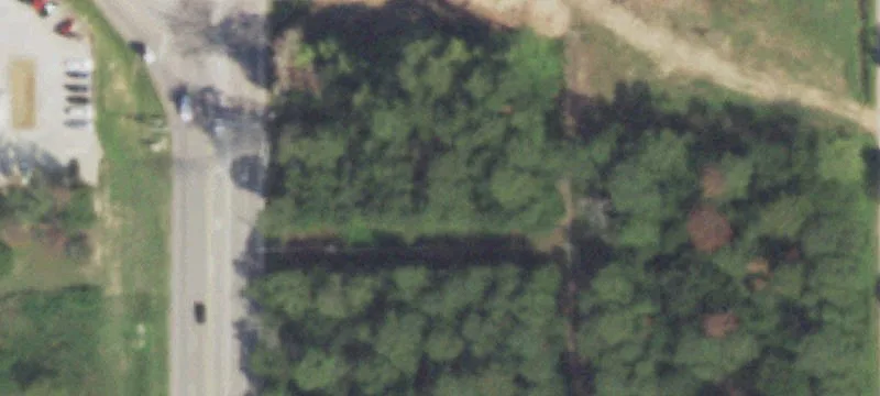 Magnolia, TX 77354