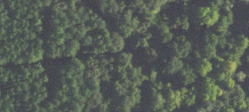 16010 Schank Rd