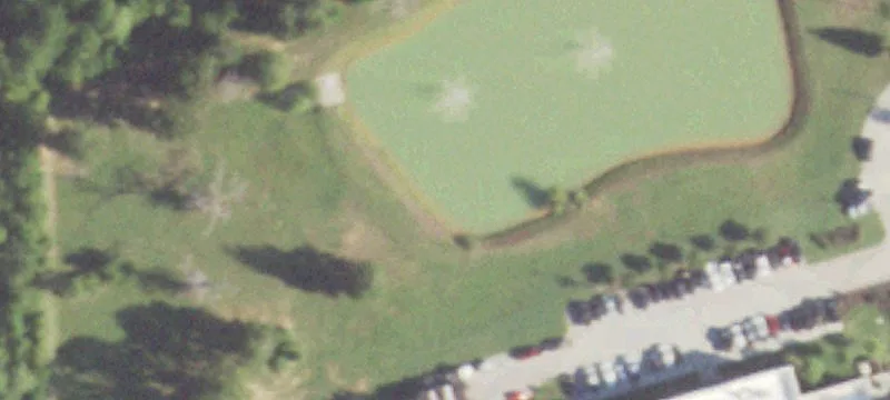 1125 Bch Airport Rd