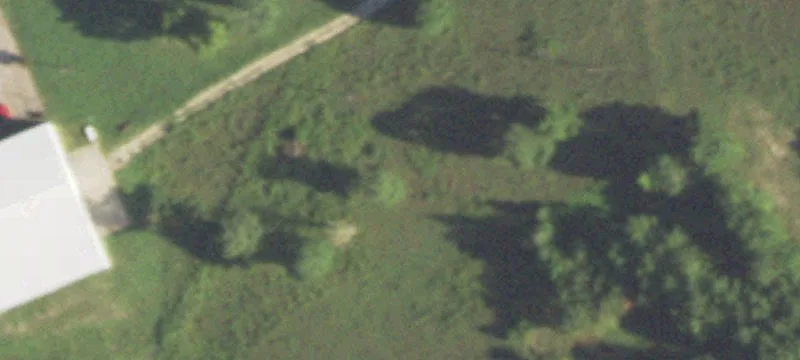 12373 Koalstad Rd