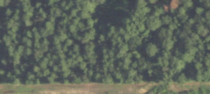 3901 Fm 1485th Rd
