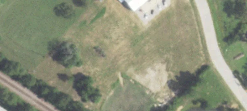 Magnolia, TX 77355