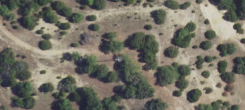 7311 Fm 1886