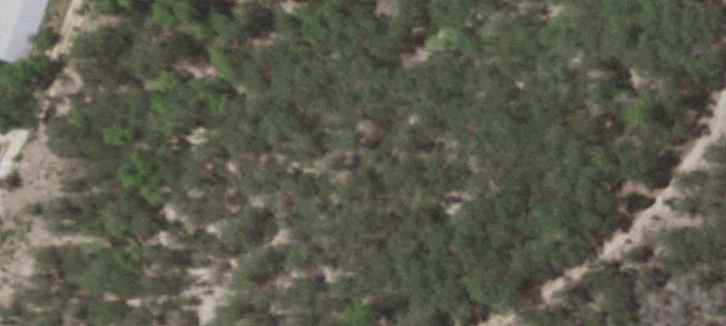 Hunt, TX 78024