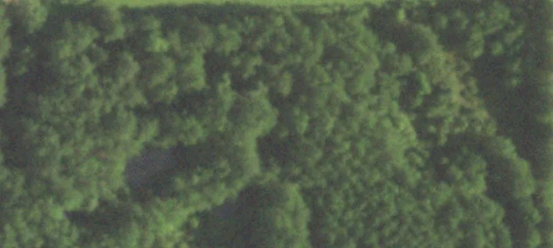 Buna, TX 77612