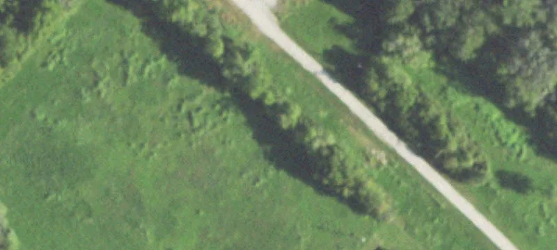 Ashley Wilson Rd