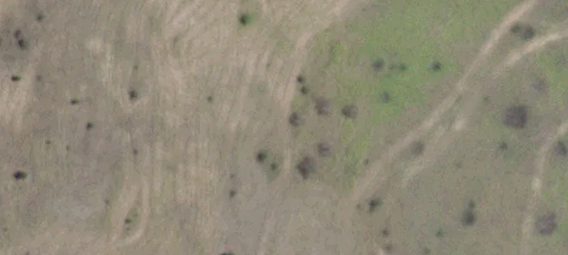 13025 Ranch Road 2338