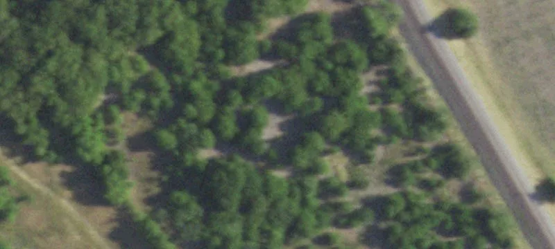 1900 Lone Star Rd
