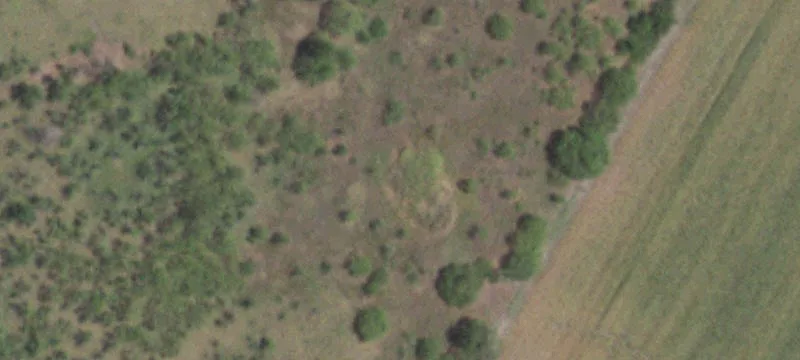 16023 Hwy 290th E
