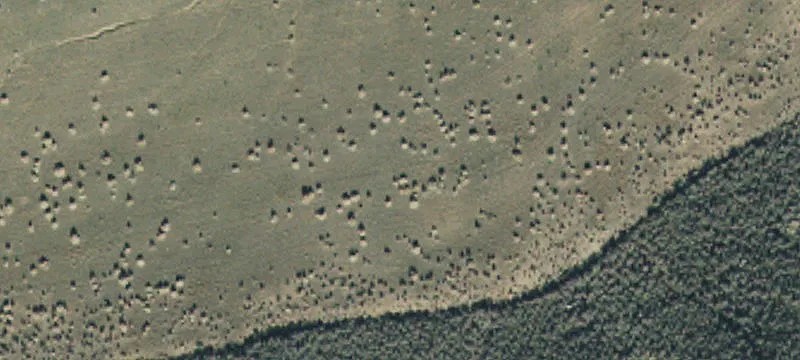 7681 5400