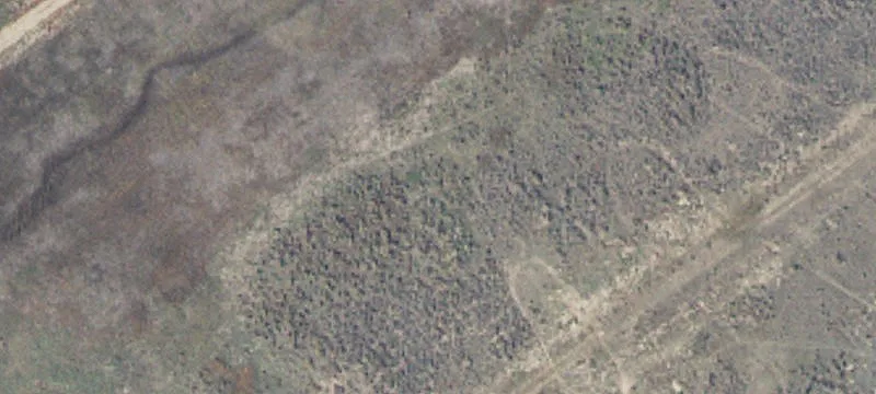  Park