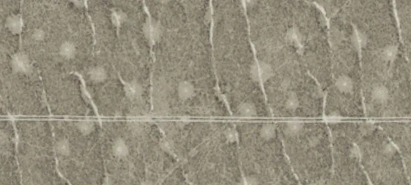 Grantsville, UT 84029