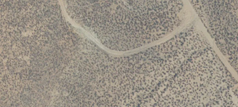 Virgin, UT 84779