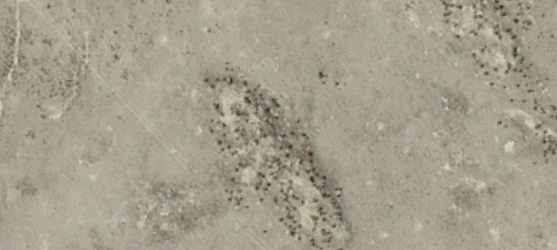Grantsville, UT 84029