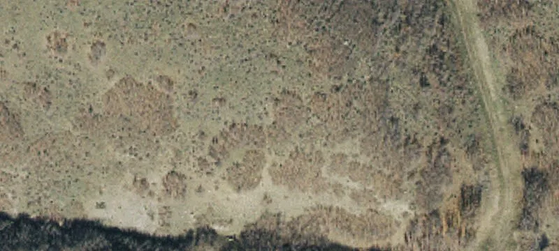 9200 Bingham Hwy