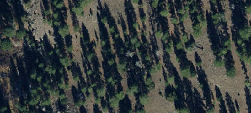 Dutch John, UT 84023