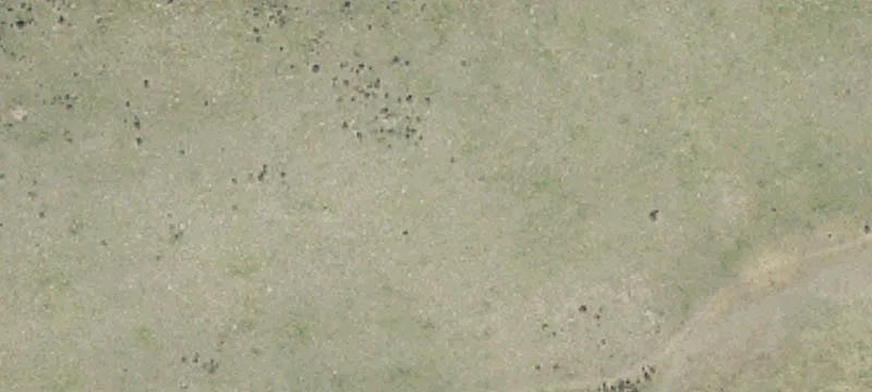 7681 5400