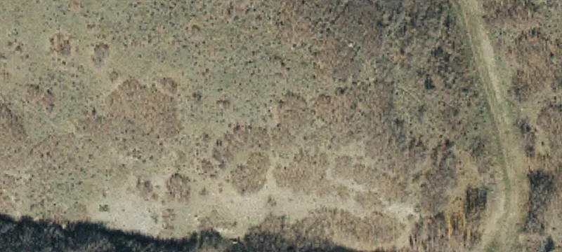8362 State Hwy