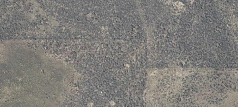 1500 Pace Frontage Rd