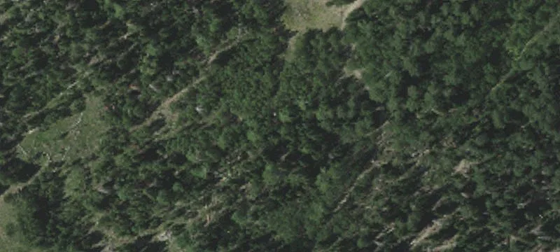 275 Sn Loop Rd