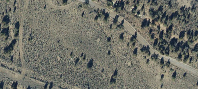 11859 Solitude Dr