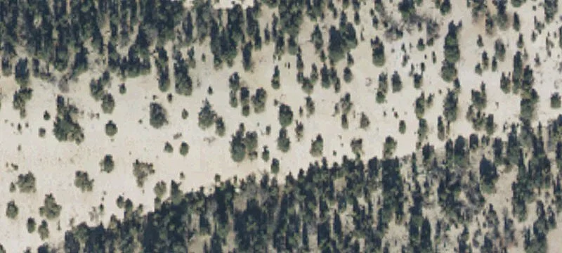 Altamont, UT 84001