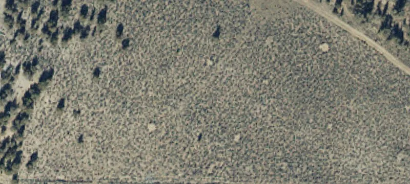 12109 Solitude Dr