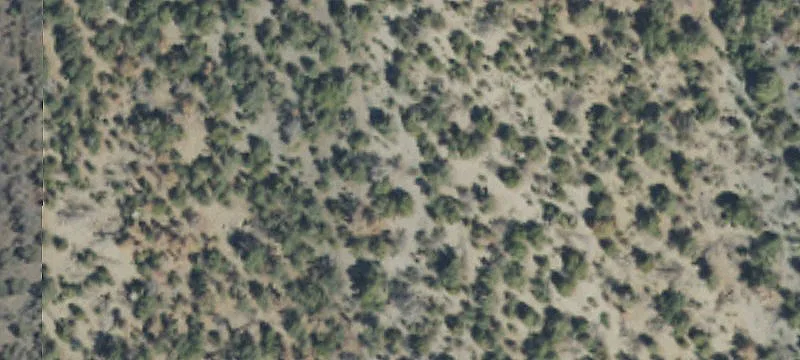 Grouse Creek, UT 84313