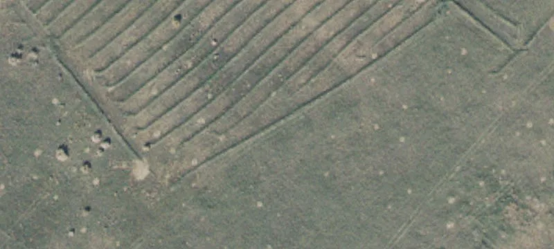 Nephi, UT 84648