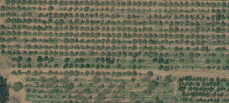 3441 Hwy 89
