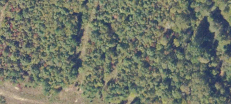 Alberta, VA 23821