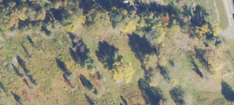 Bealeton, VA 22712