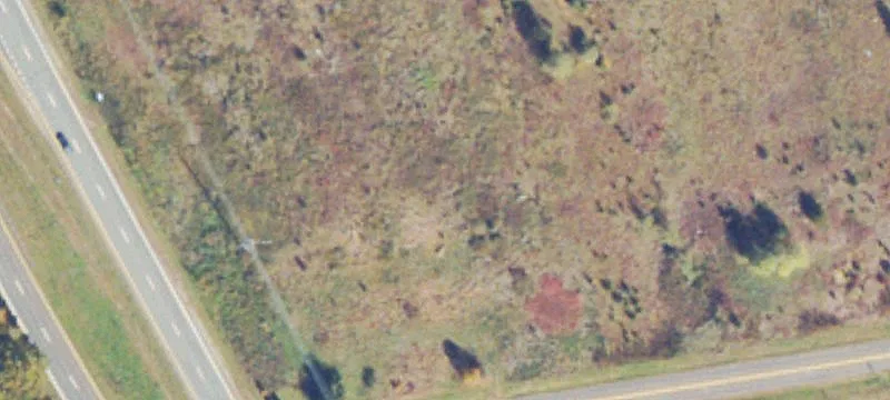 Locust Grove, VA 22508