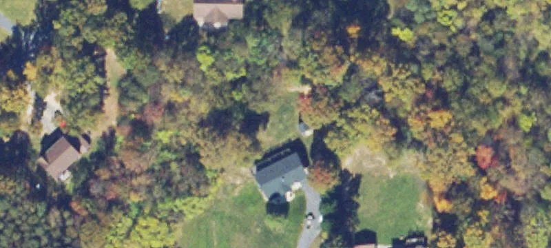 264 Royal Elm Rd